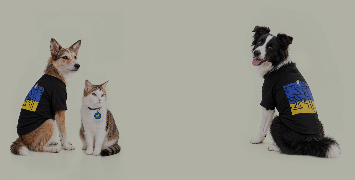 Two pets wearing matching black graphic T-shirts are photographed on a plain light gray studio background: a tan and white dog on the left and a black-and-white dog on the right. The shirts have a blue abstract graphic and yellow text on the back.