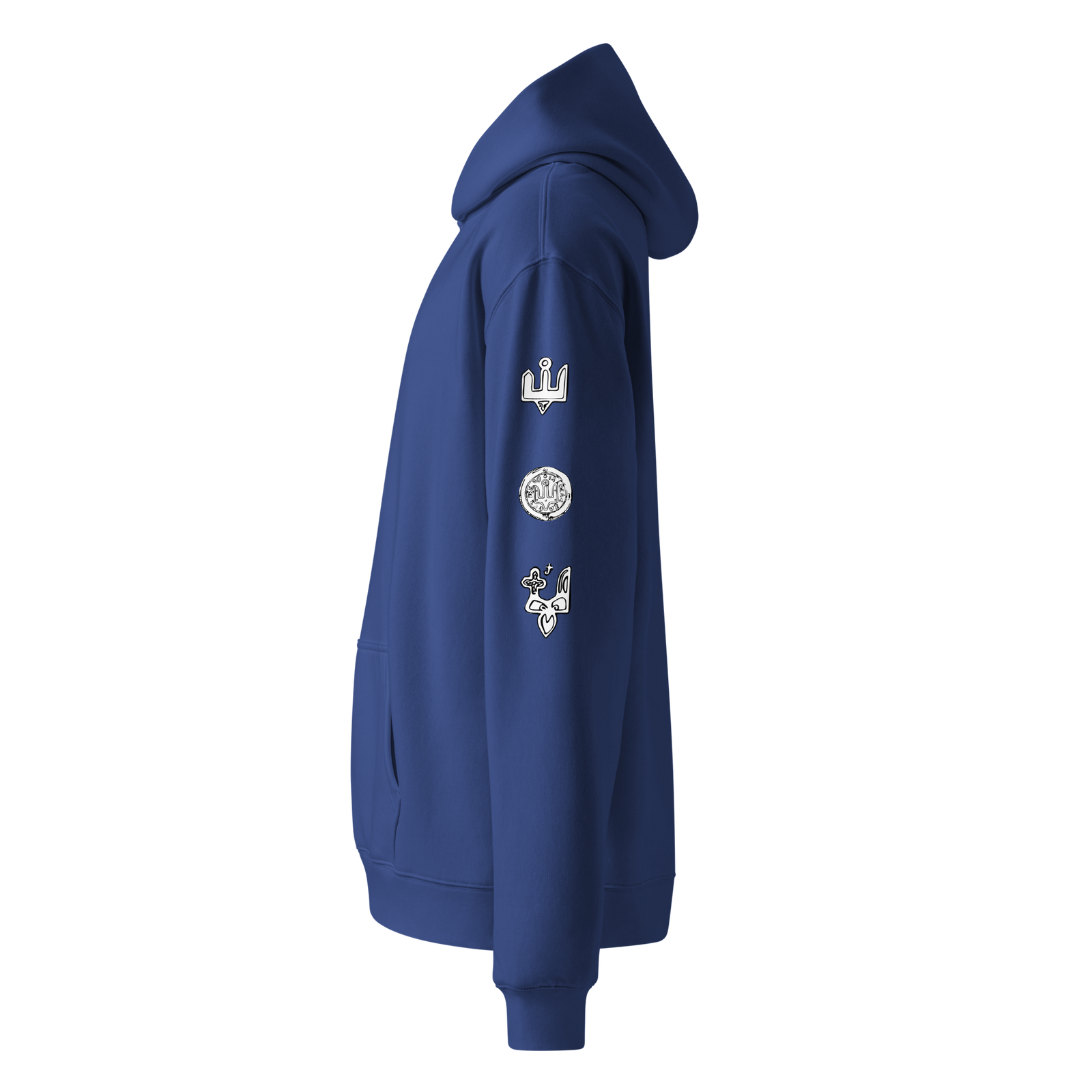 Ancient Coins hoodie