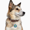 I Support UA Animals Key Ring and I Support UA Humans Dog Tag